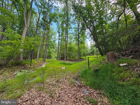 Vacant Land For Sale - LOT 65 Mockingbird Drive<br/> HARRISBURG, PA 17112