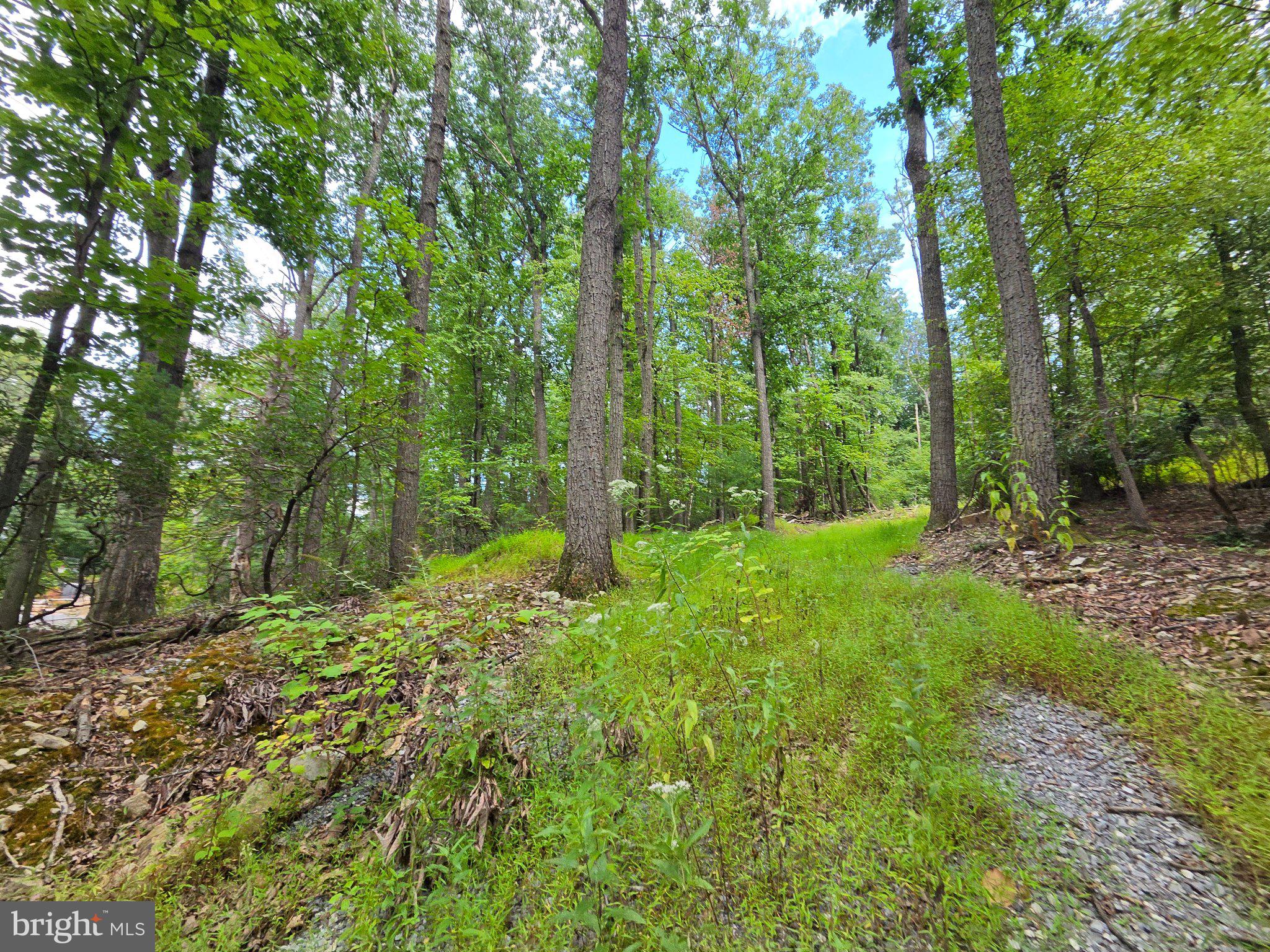 Lot 65 MOCKINGBIRD DRIVE