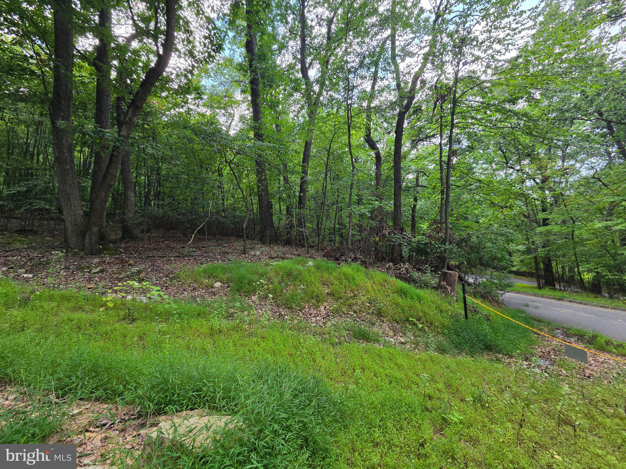 Lot 65 MOCKINGBIRD DRIVE