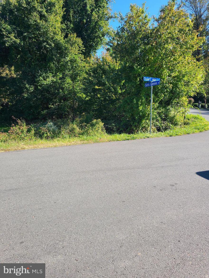 This land is situated in a neighborhood of high-priced homes. It's reportedly non-buildable, but that could be subject to change. Let your imagination guide you. We welcome your offer.