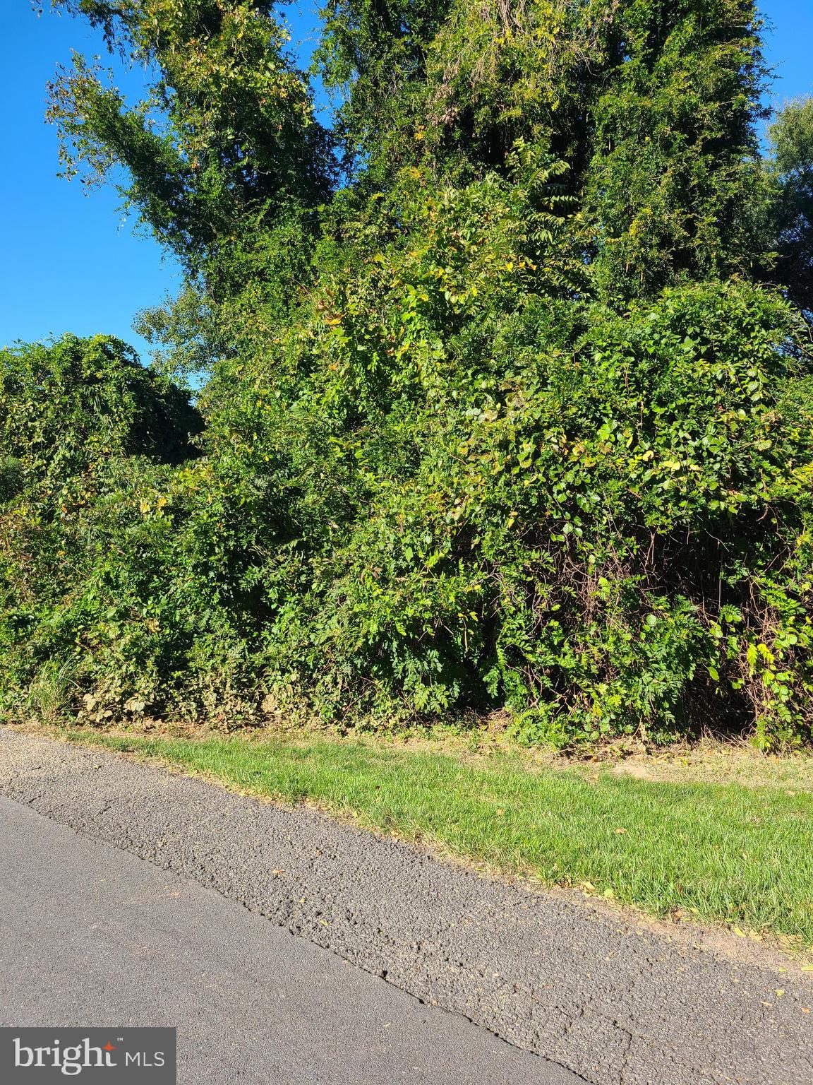 CARIS GLENNE OUTLOT B