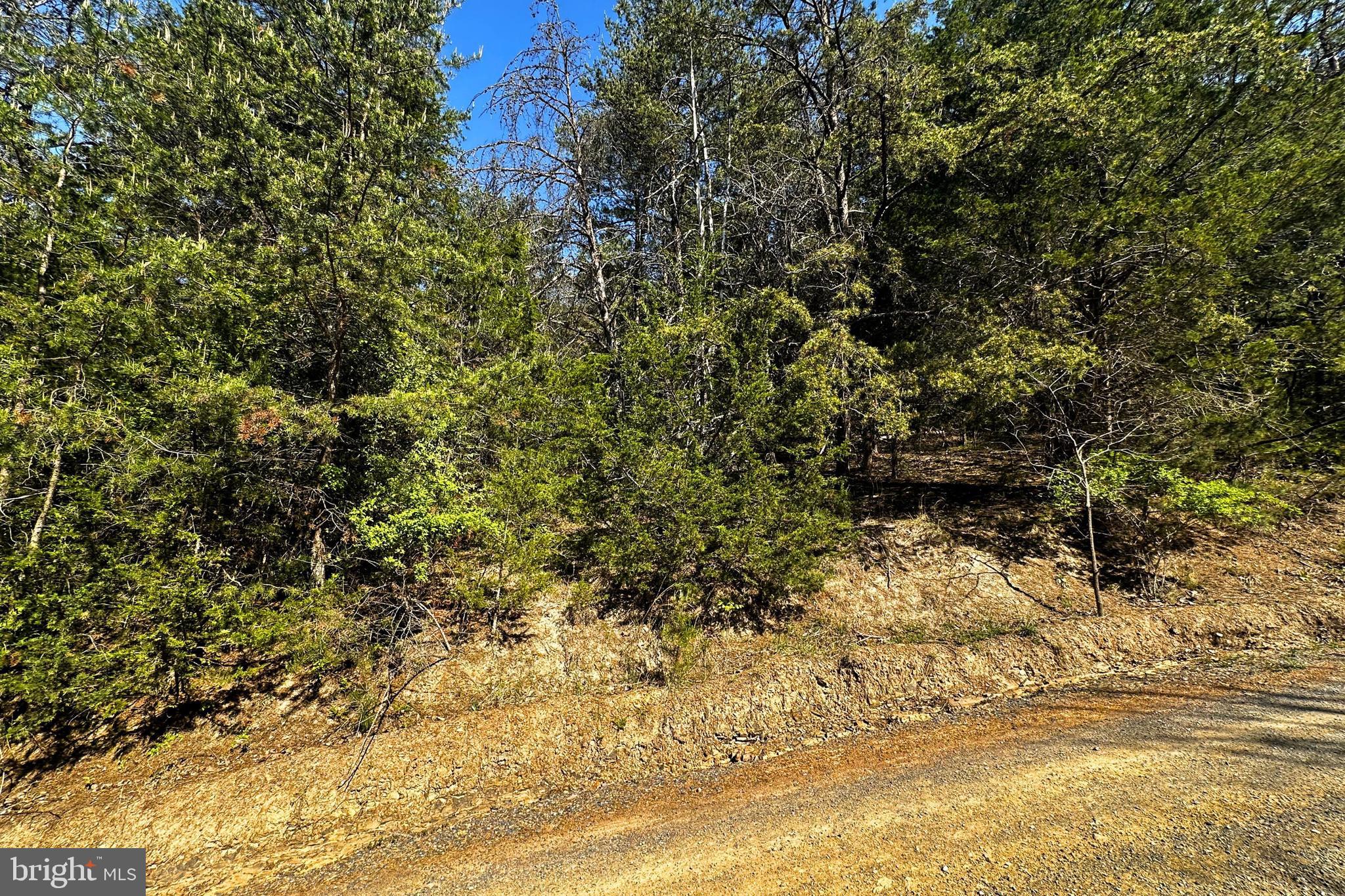 HIGH MOUNTAIN MEADOW - Land