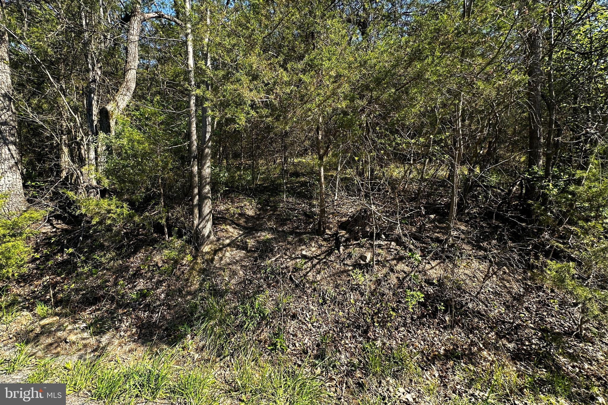 HIGH MOUNTAIN MEADOW - Land