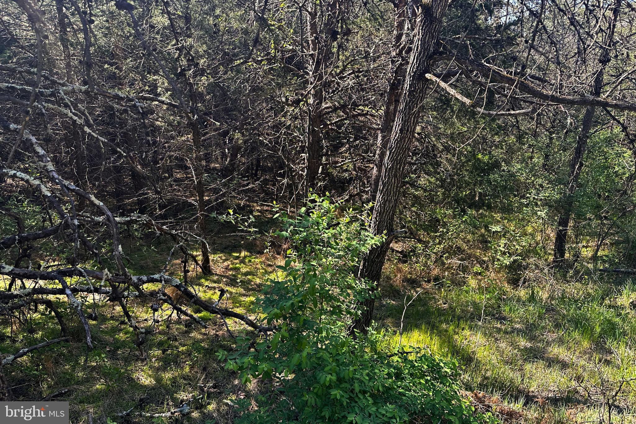 HIGH MOUNTAIN MEADOW - Land
