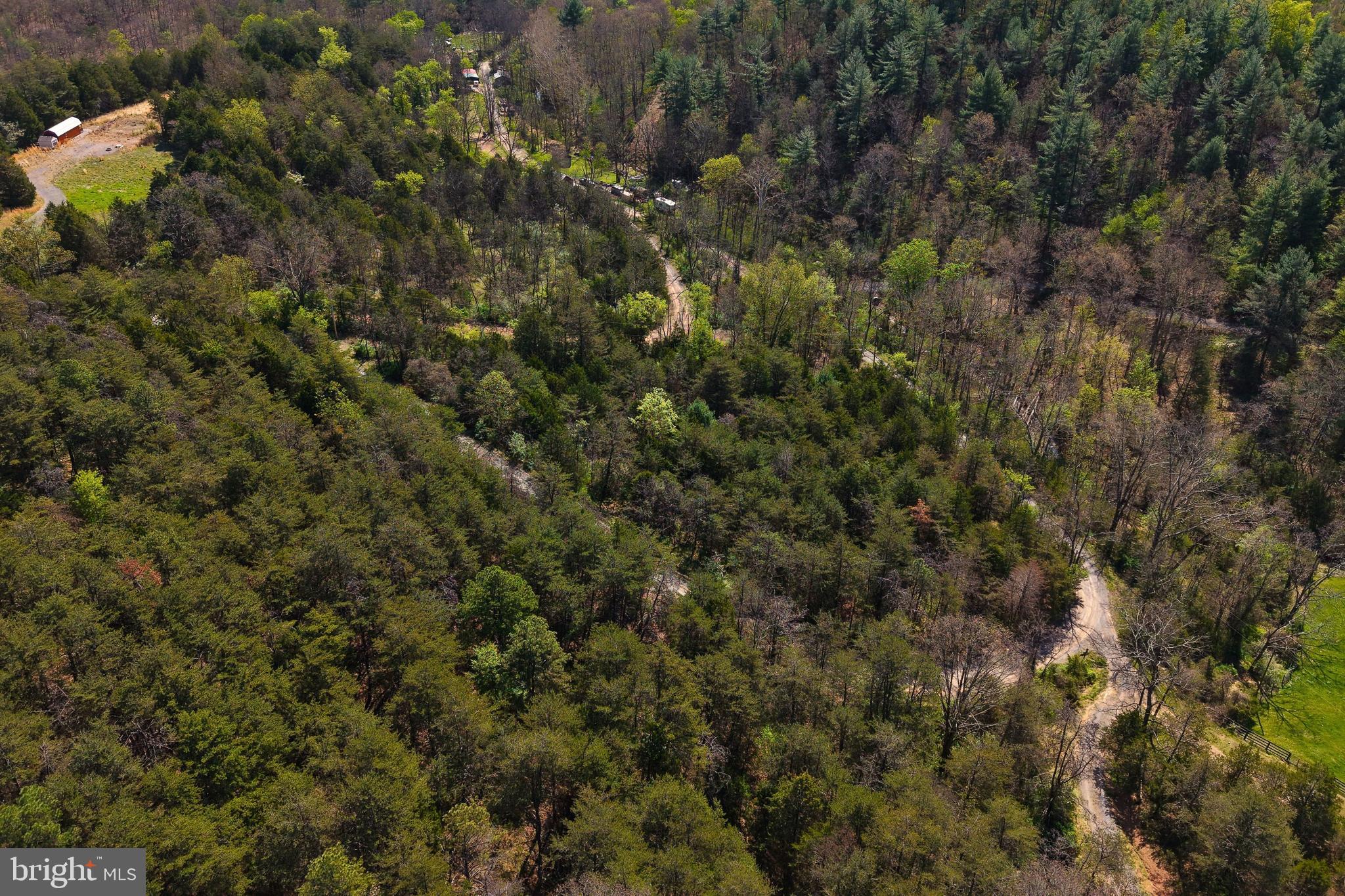 HIGH MOUNTAIN MEADOW - Land