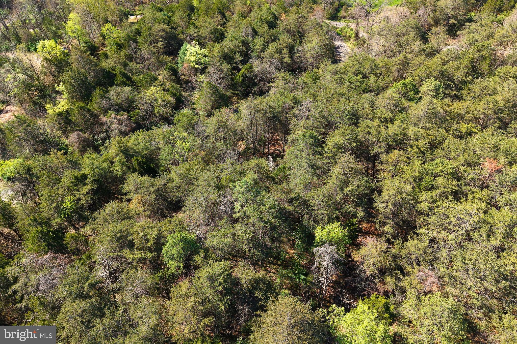 HIGH MOUNTAIN MEADOW - Land