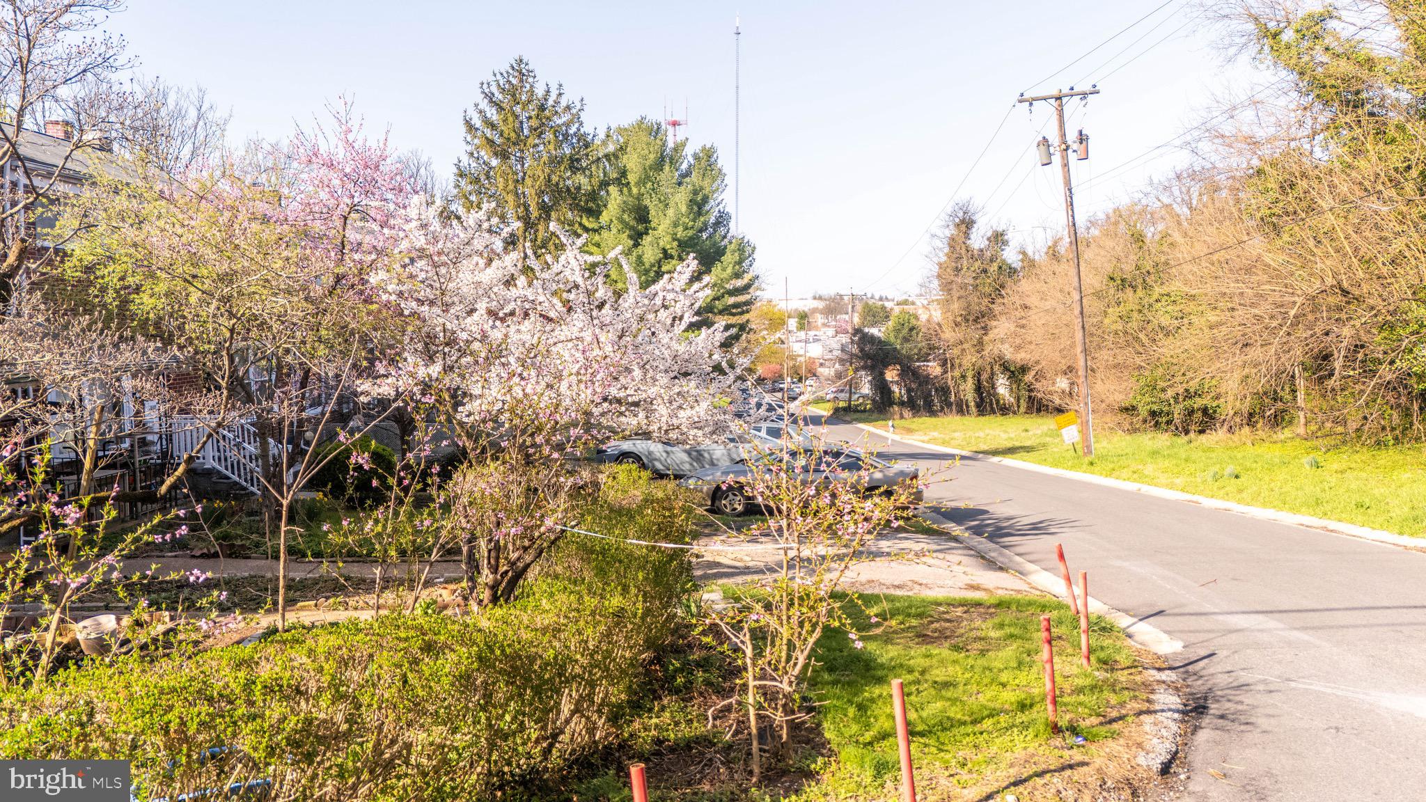 MEDFIELD - Residential