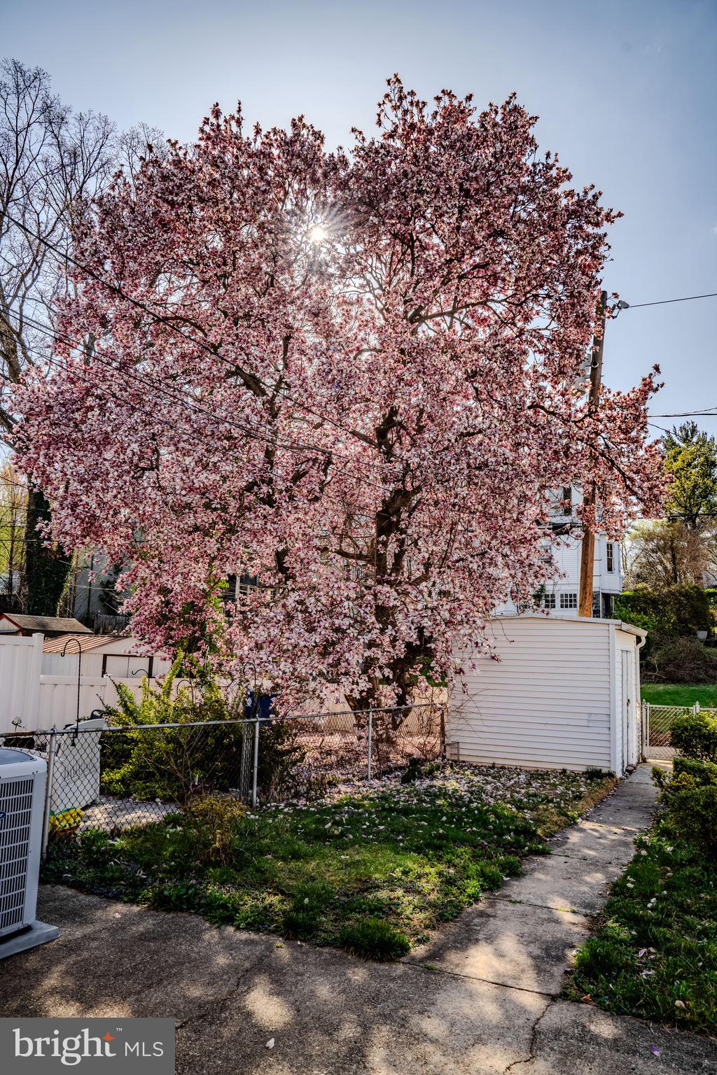 MEDFIELD - Residential