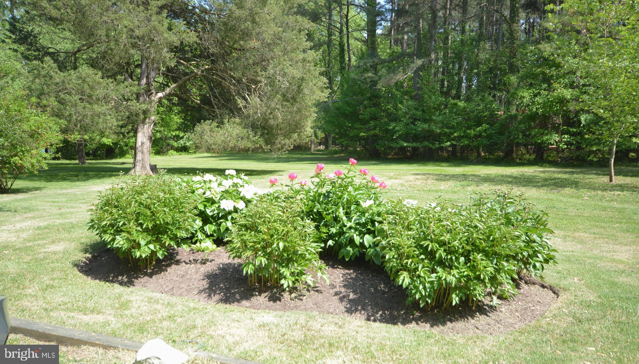 ROYAL OAK - Residential