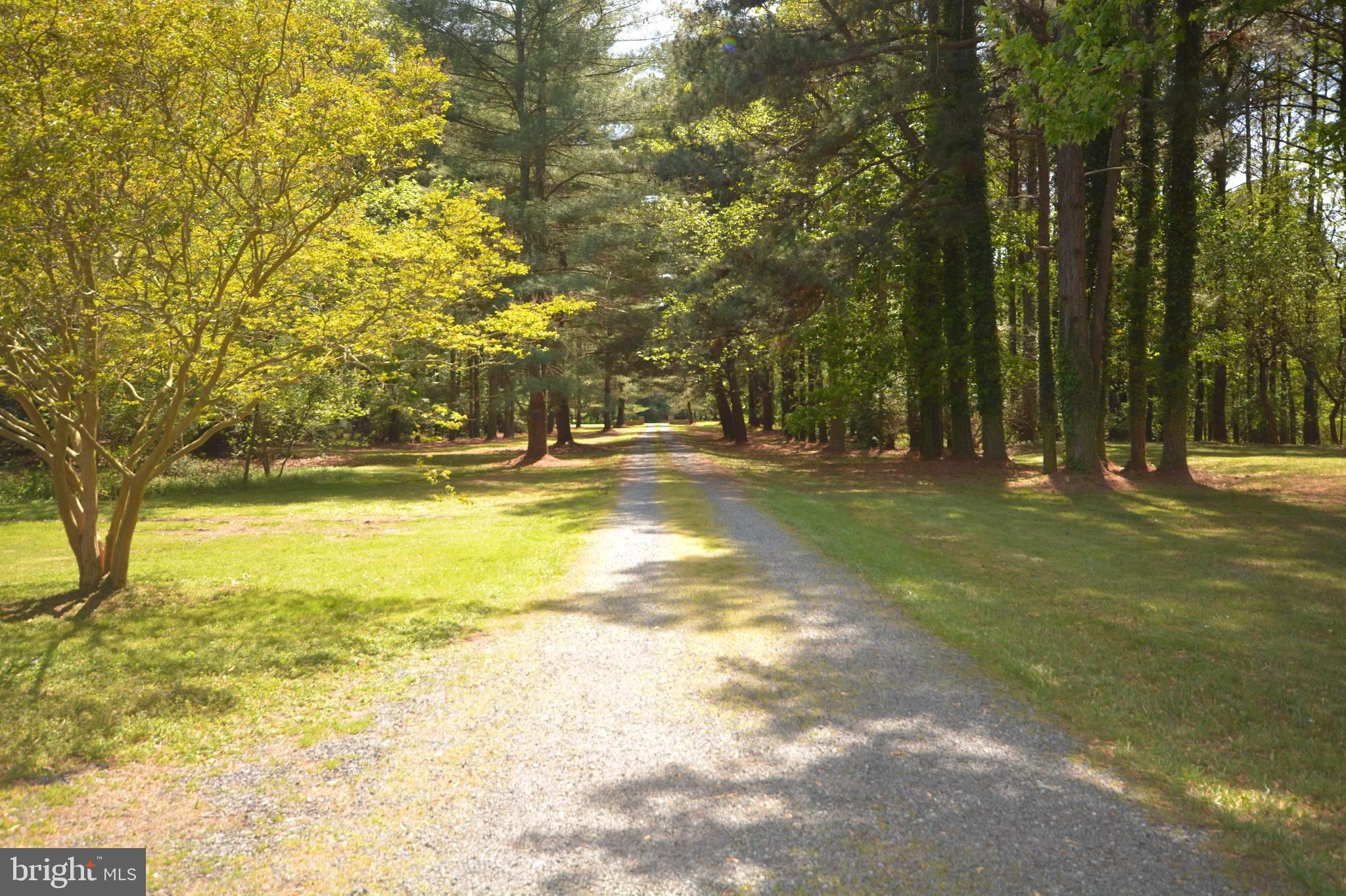 ROYAL OAK - Residential