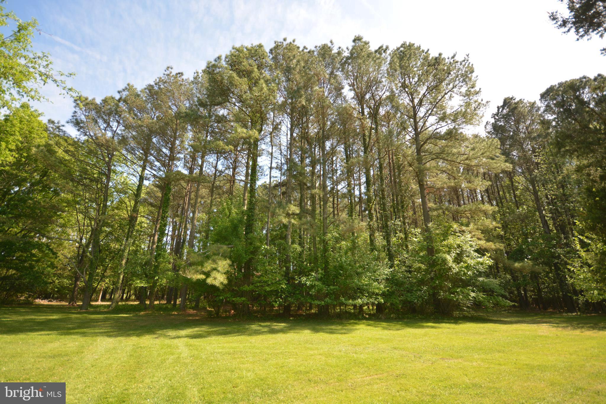 ROYAL OAK - Residential