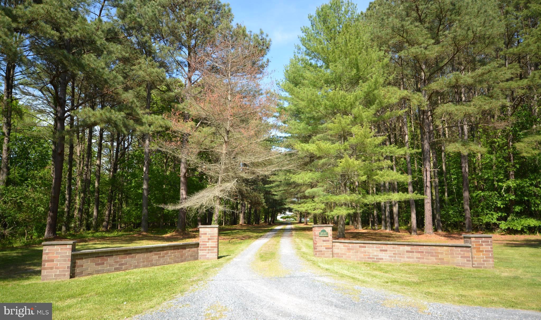 ROYAL OAK - Residential