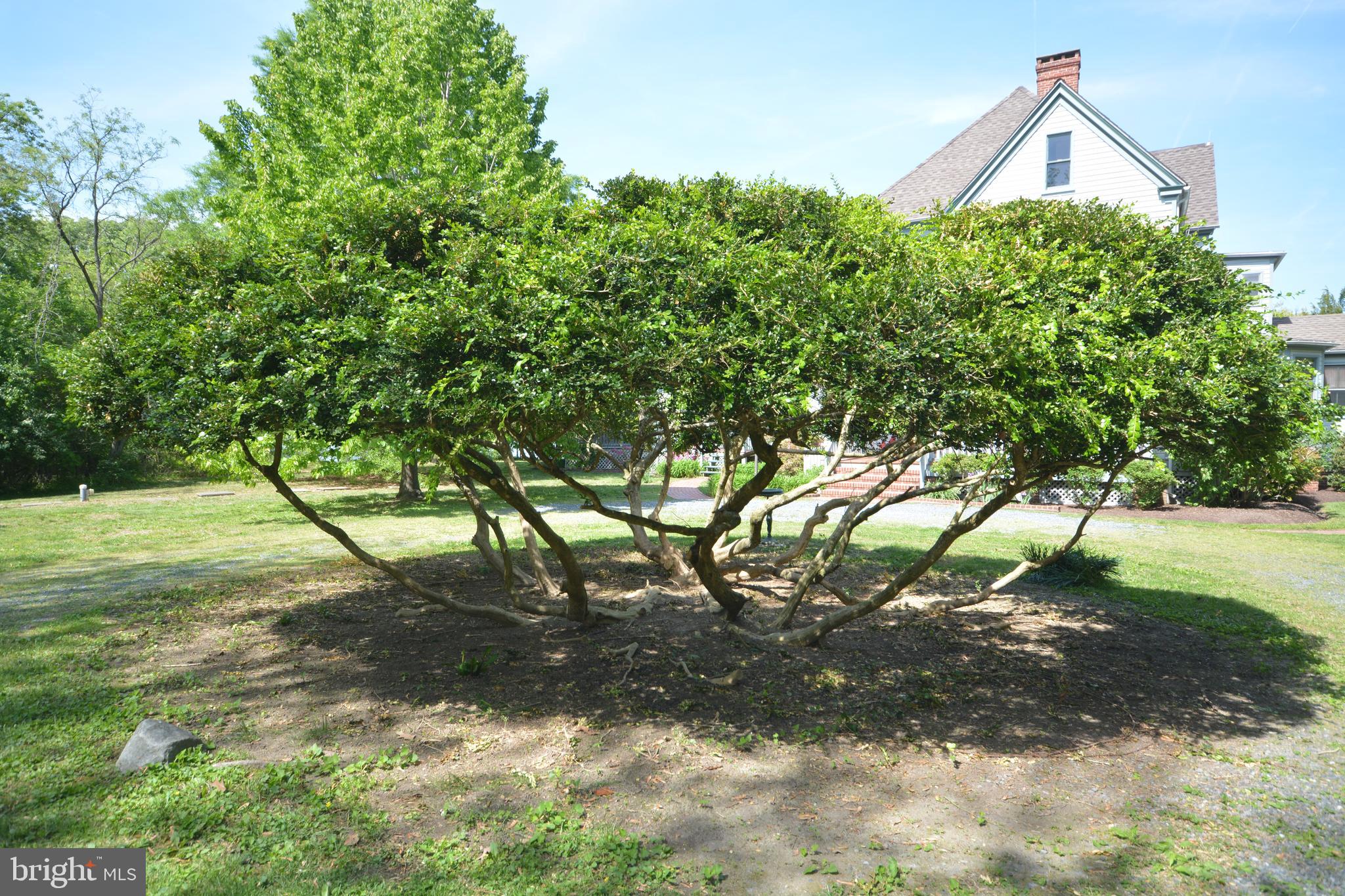 ROYAL OAK - Residential