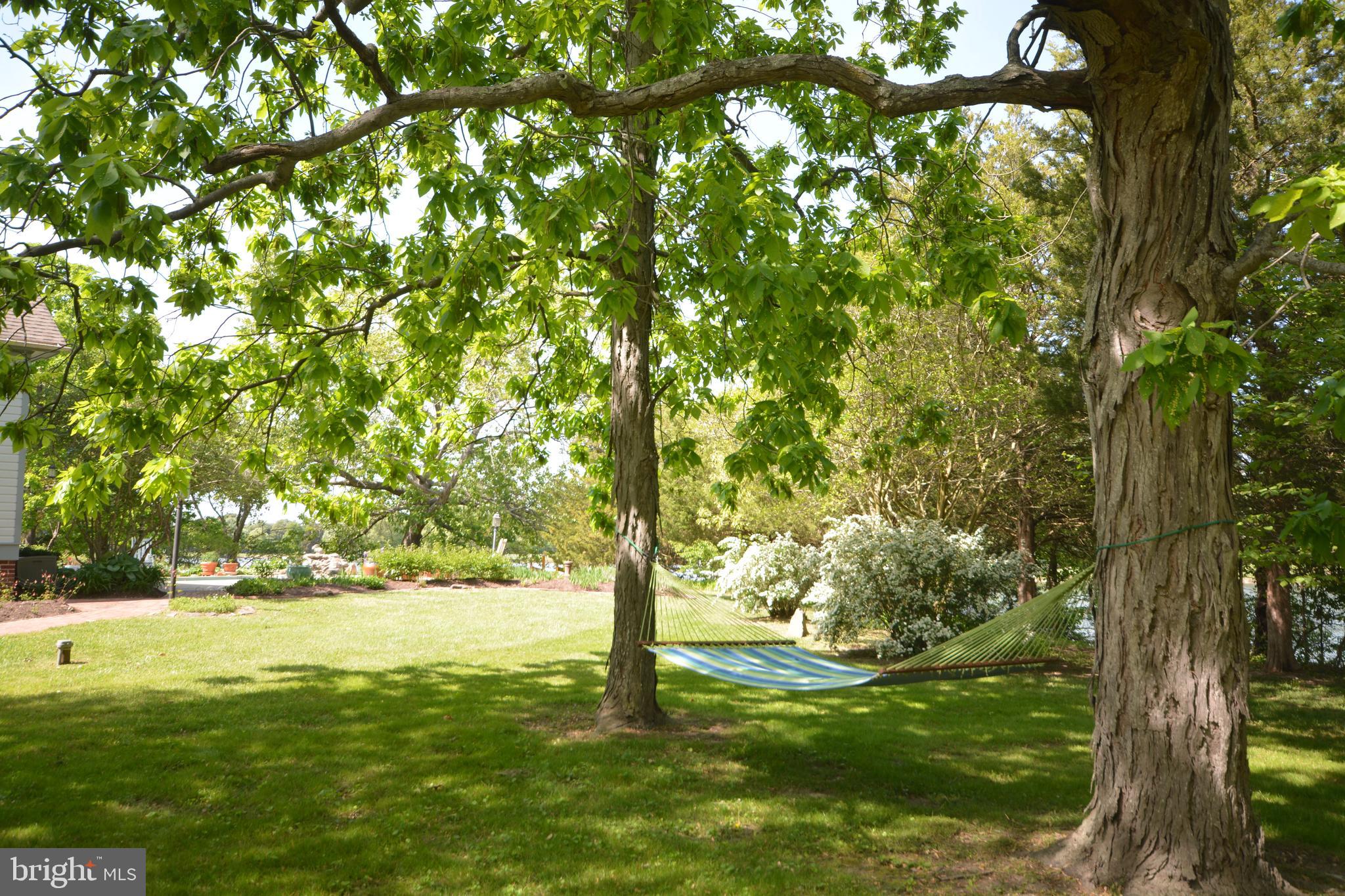 ROYAL OAK - Residential