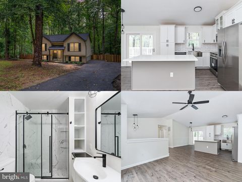 12719 PICKETT COURT SPOTSYLVANIA VA 22551