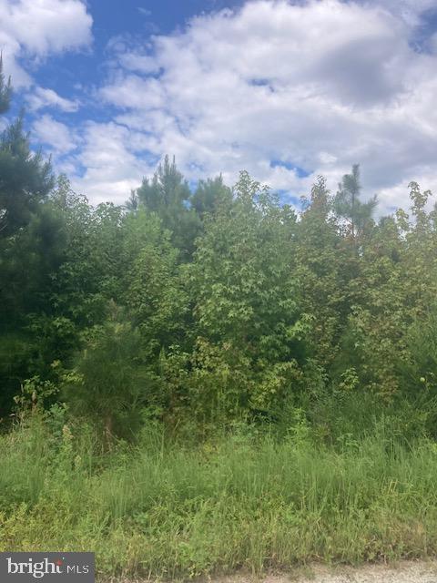 1199 KELLY ROAD