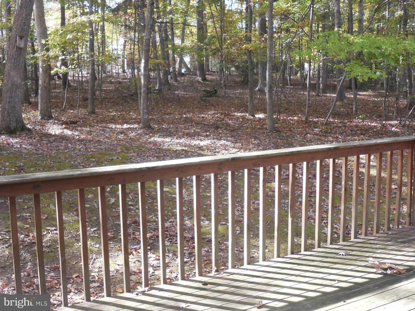 LAKE OF THE WOODS - Residential