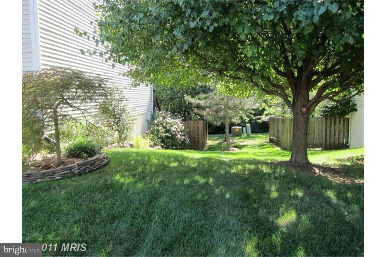 THE MEWS - Residential Lease