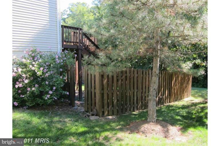 THE MEWS - Residential Lease