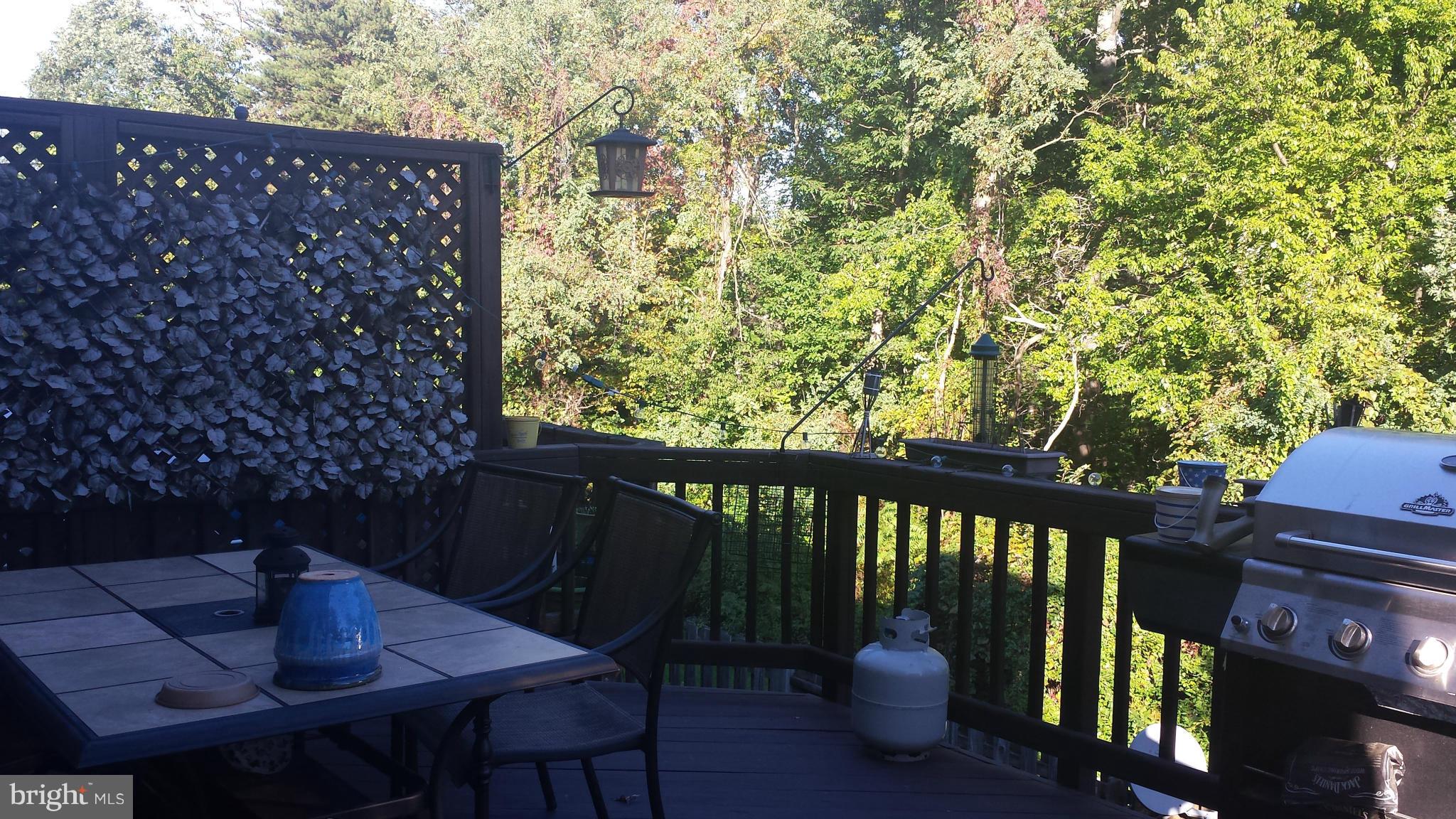 THE MEWS - Residential Lease