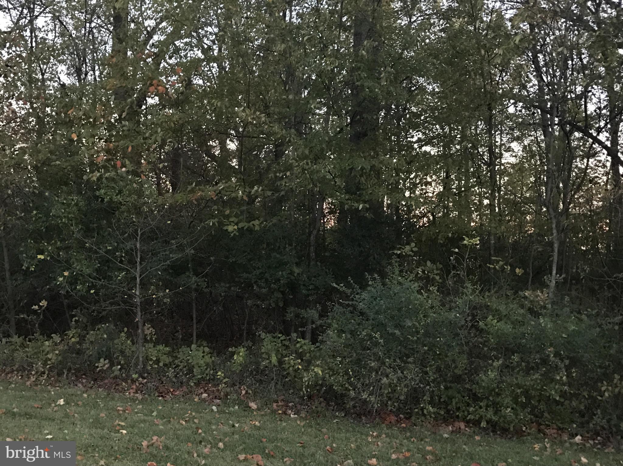 NONE AVAILABLE - Land