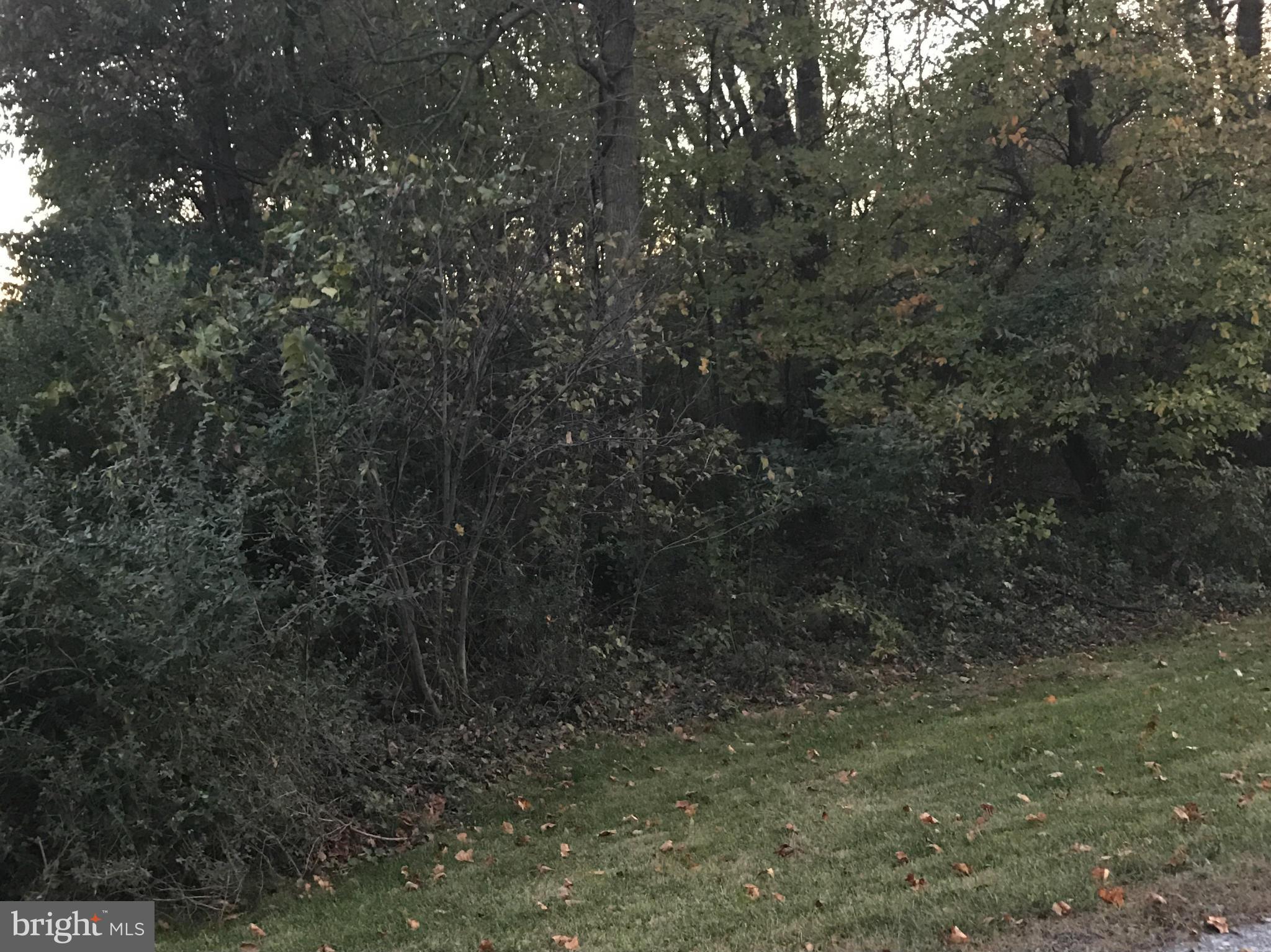 NONE AVAILABLE - Land