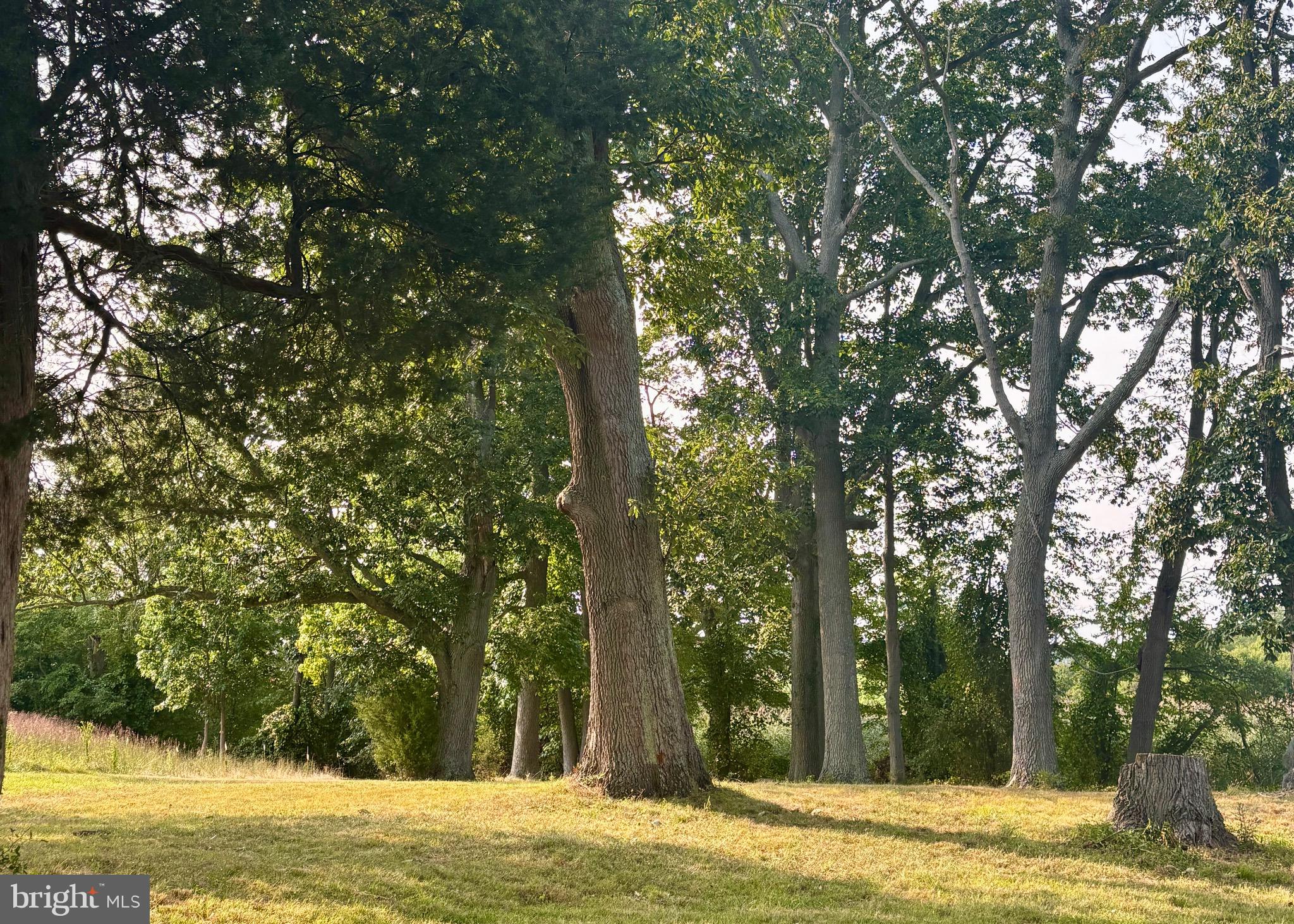 ELK RIVER - Residential