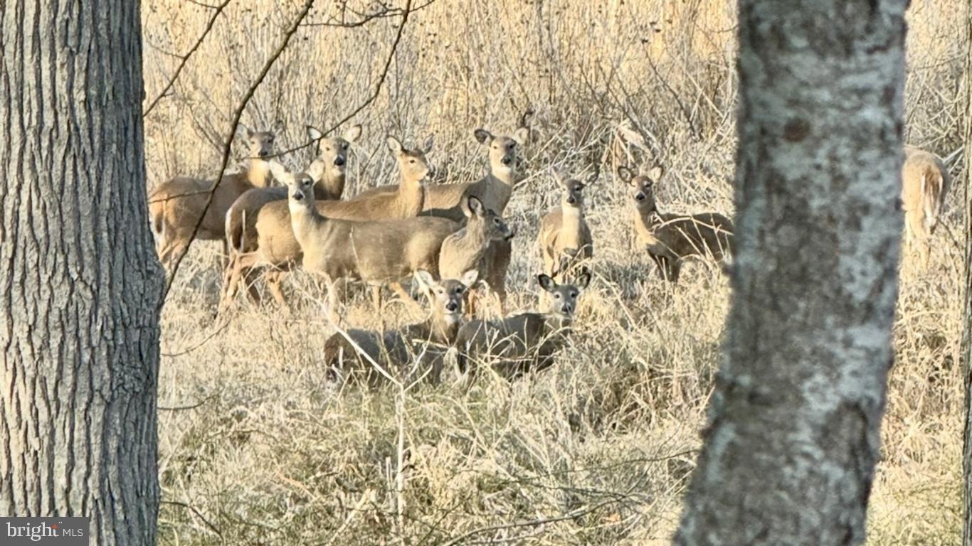 ELK RIVER - Residential