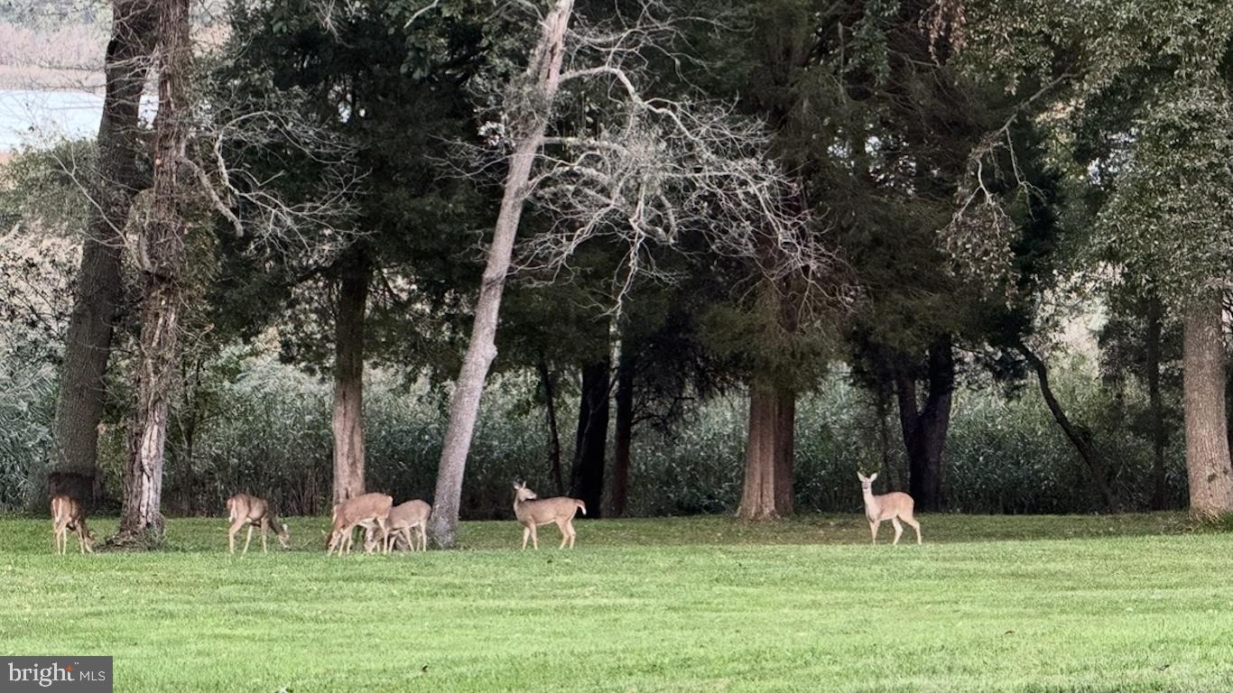 ELK RIVER - Residential