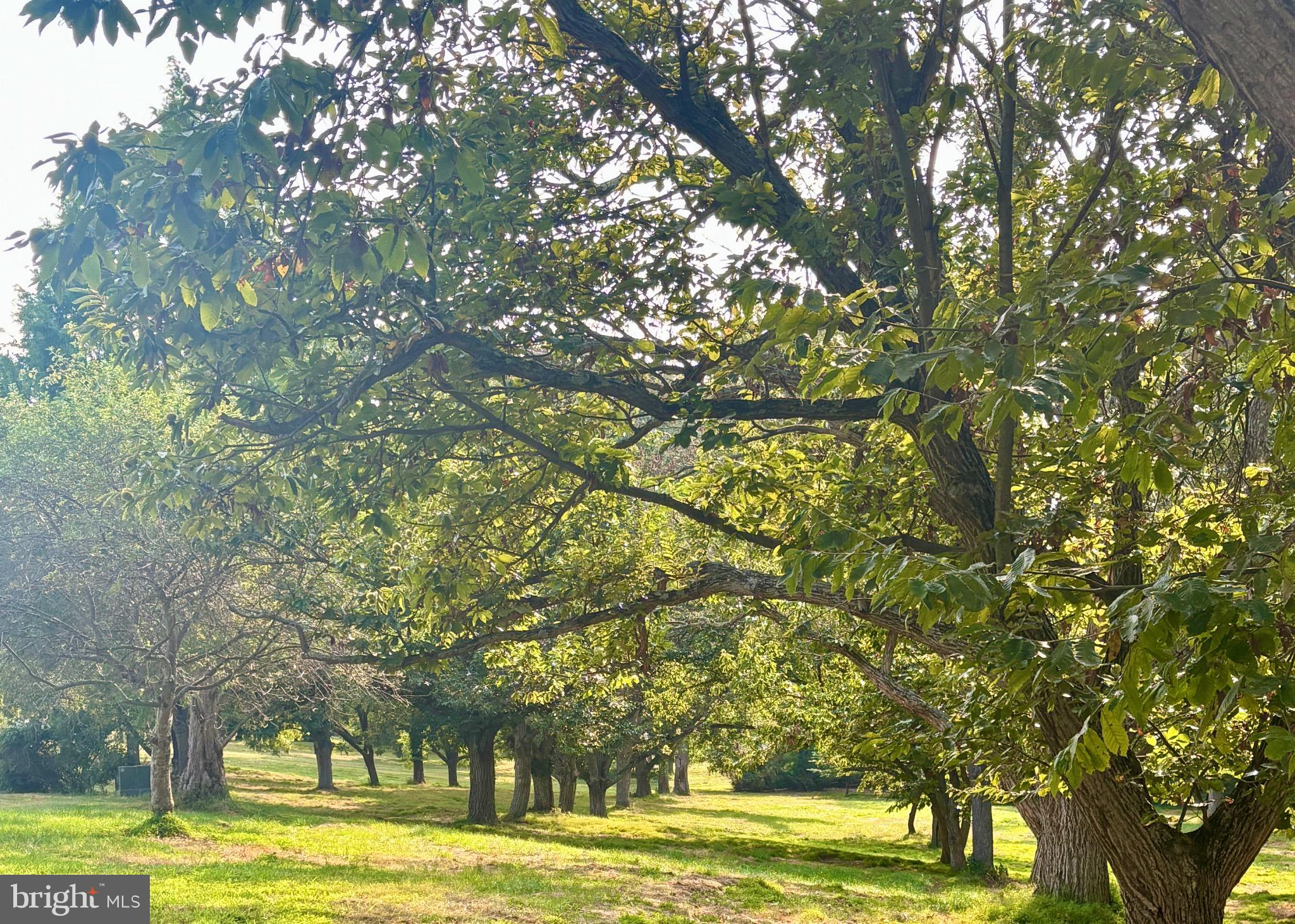 ELK RIVER - Residential