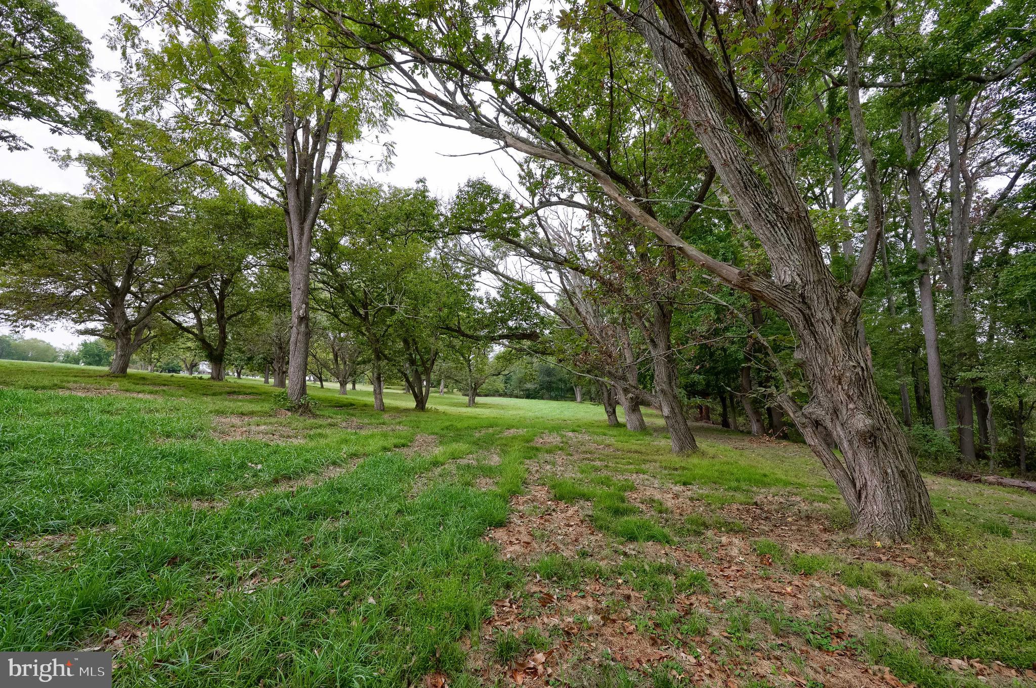 ELK RIVER - Residential