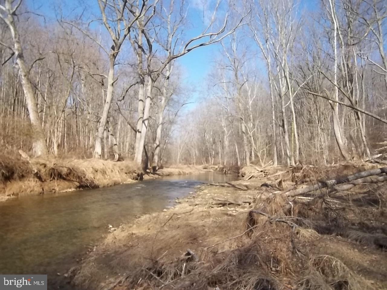 MONTFORD GLEN - Land