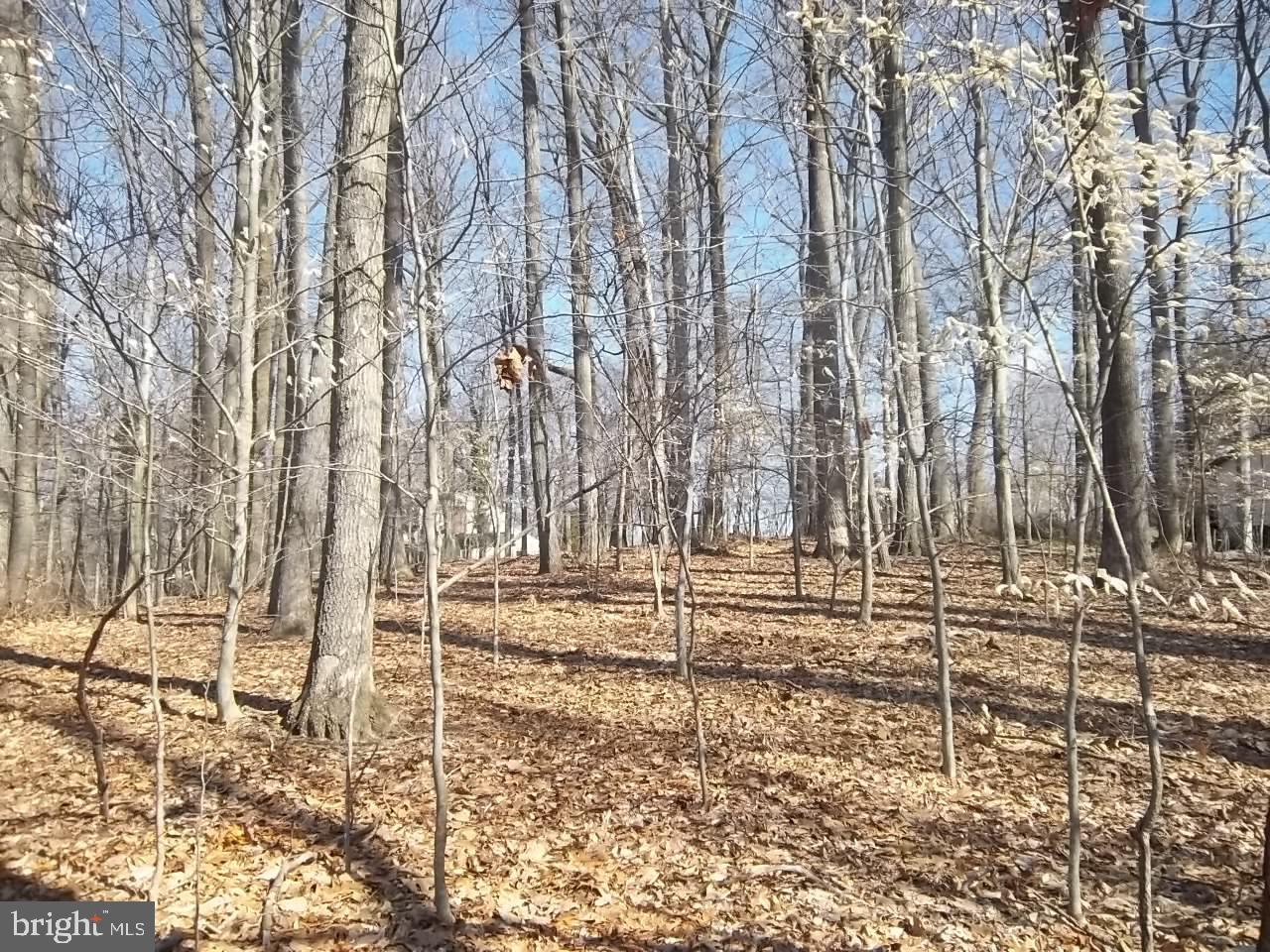 MONTFORD GLEN - Land