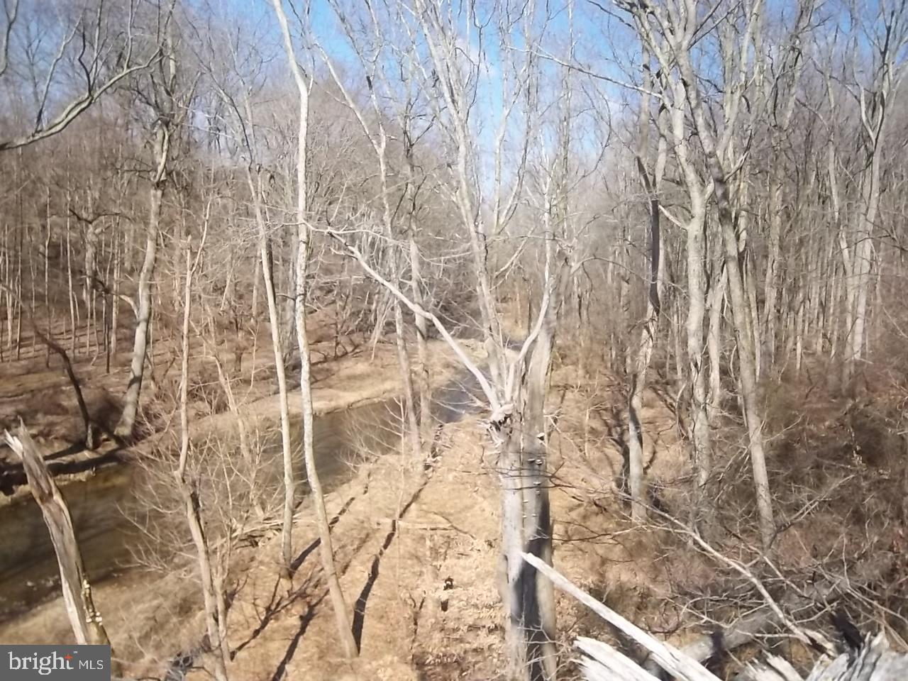 MONTFORD GLEN - Land