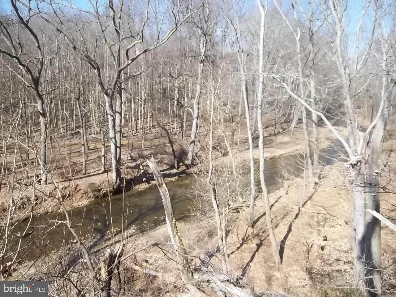 MONTFORD GLEN - Land