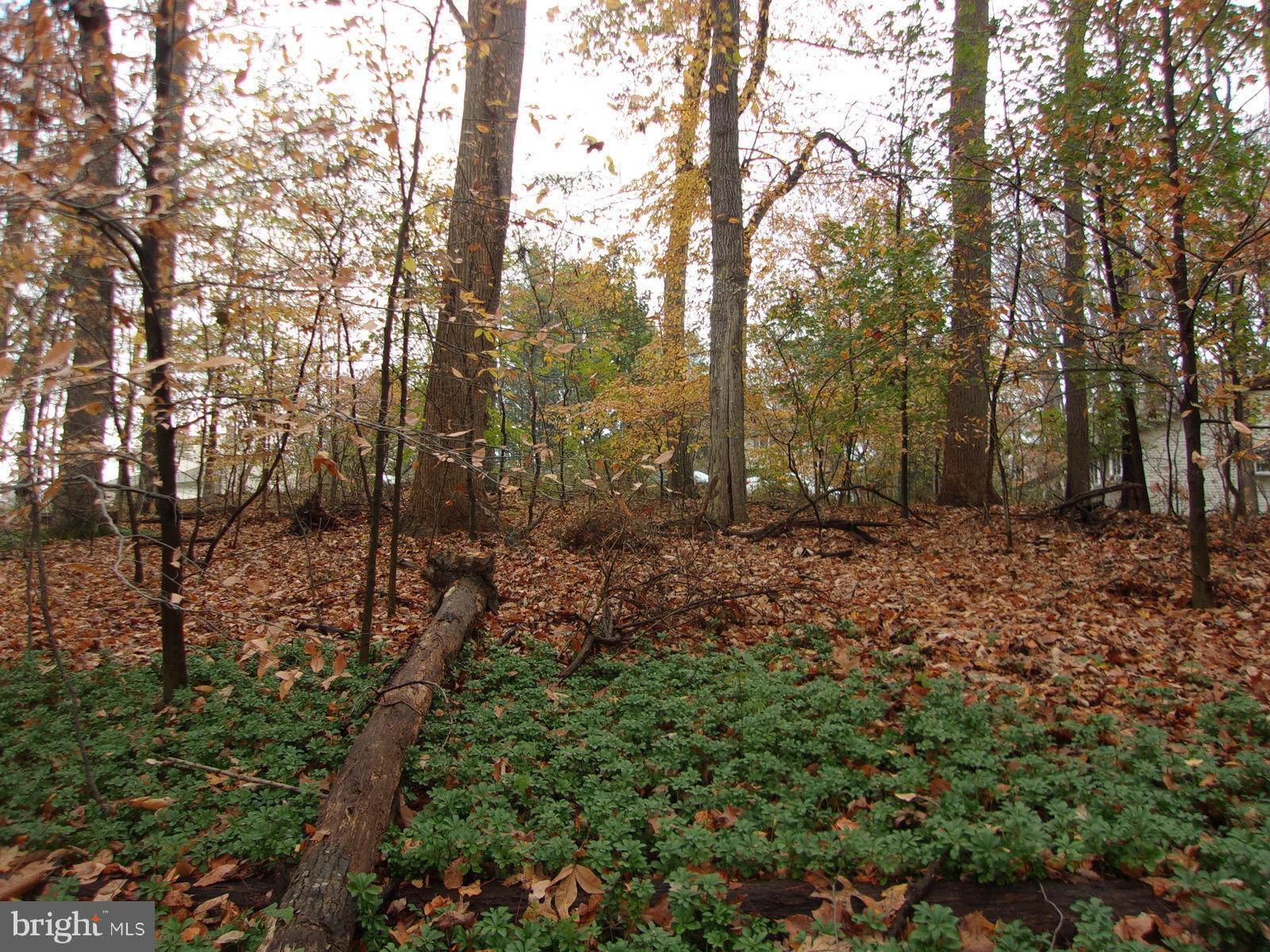 MONTFORD GLEN - Land