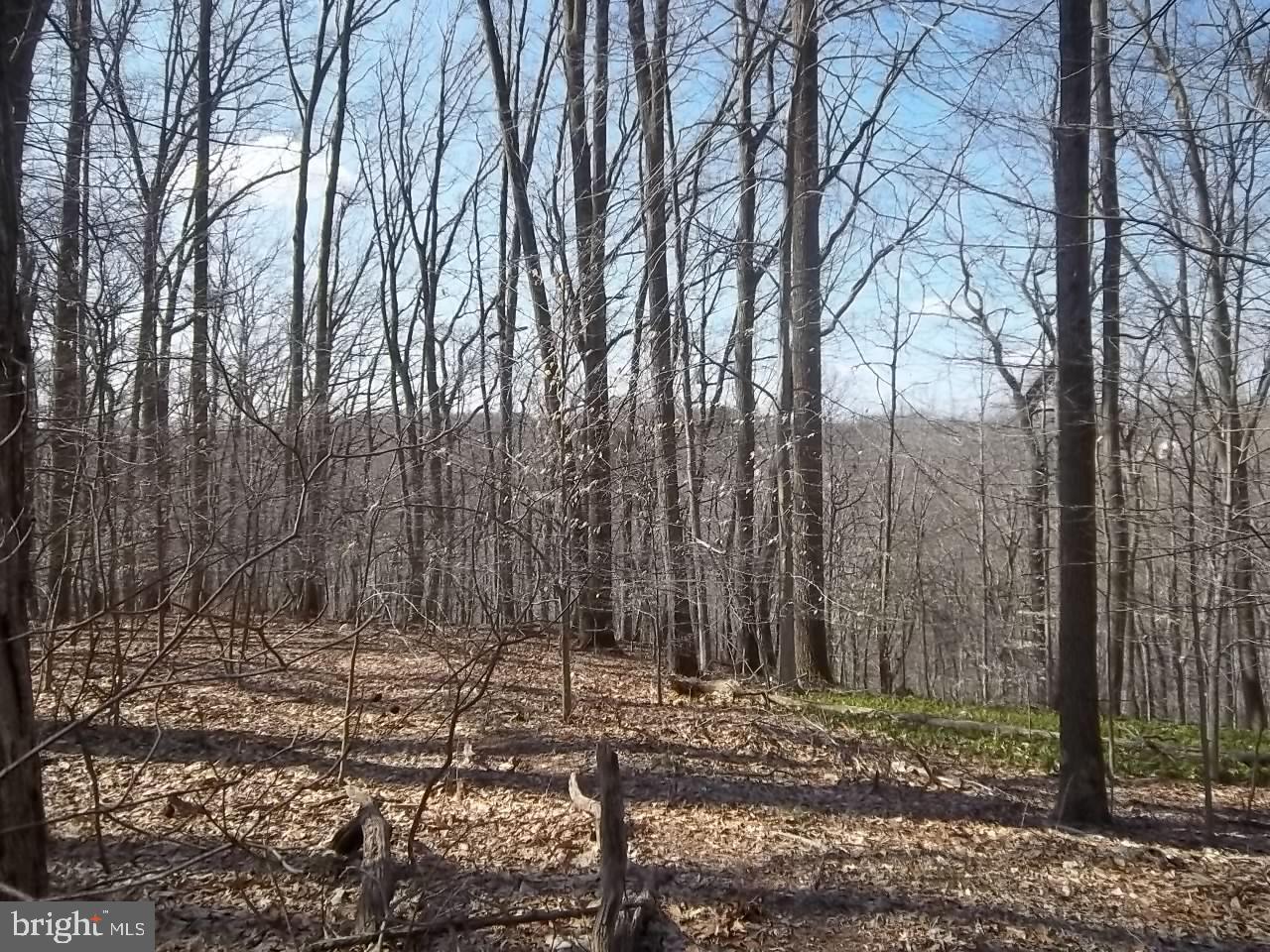 MONTFORD GLEN - Land