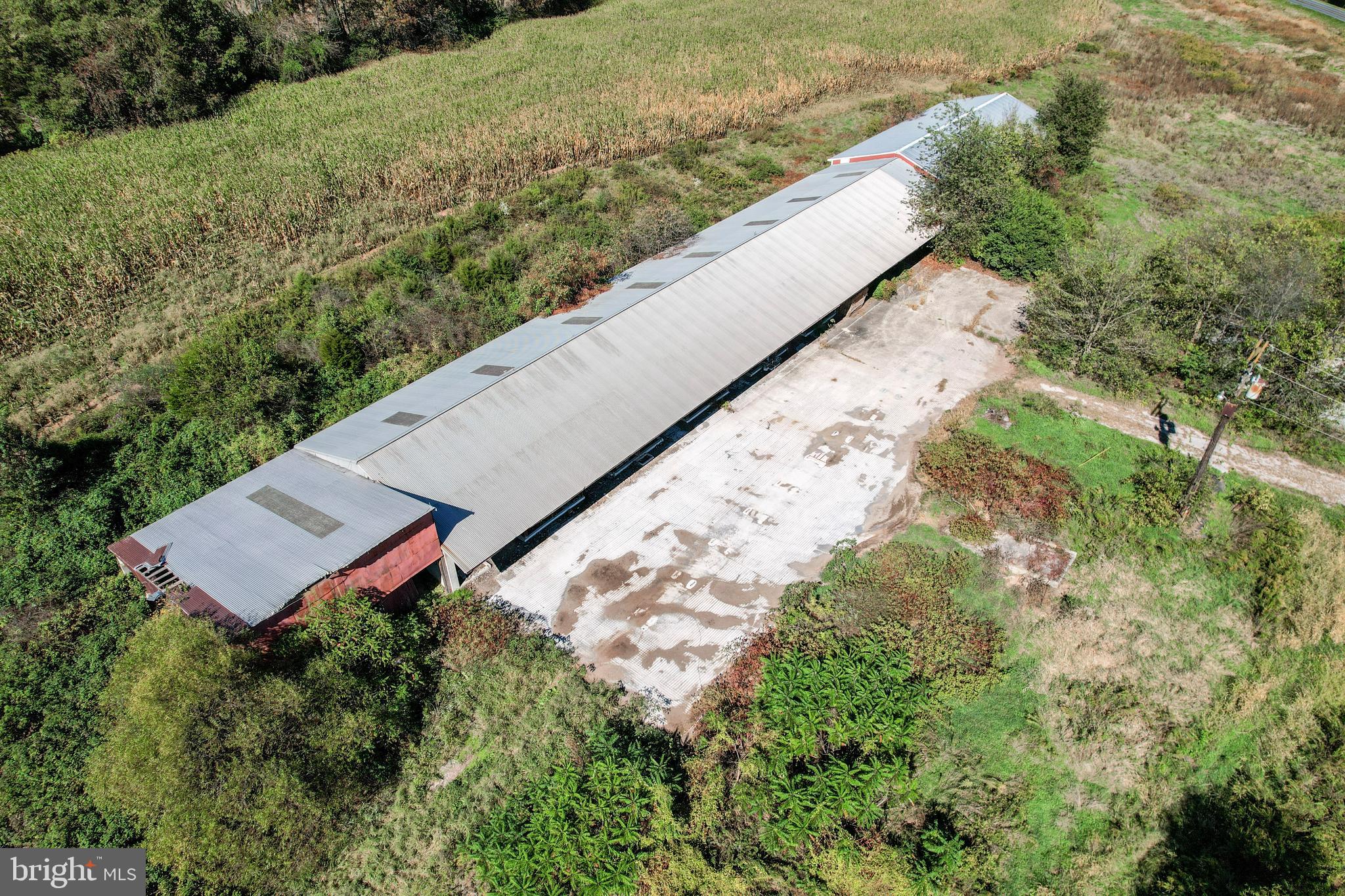 NONE AVAILABLE - Farm