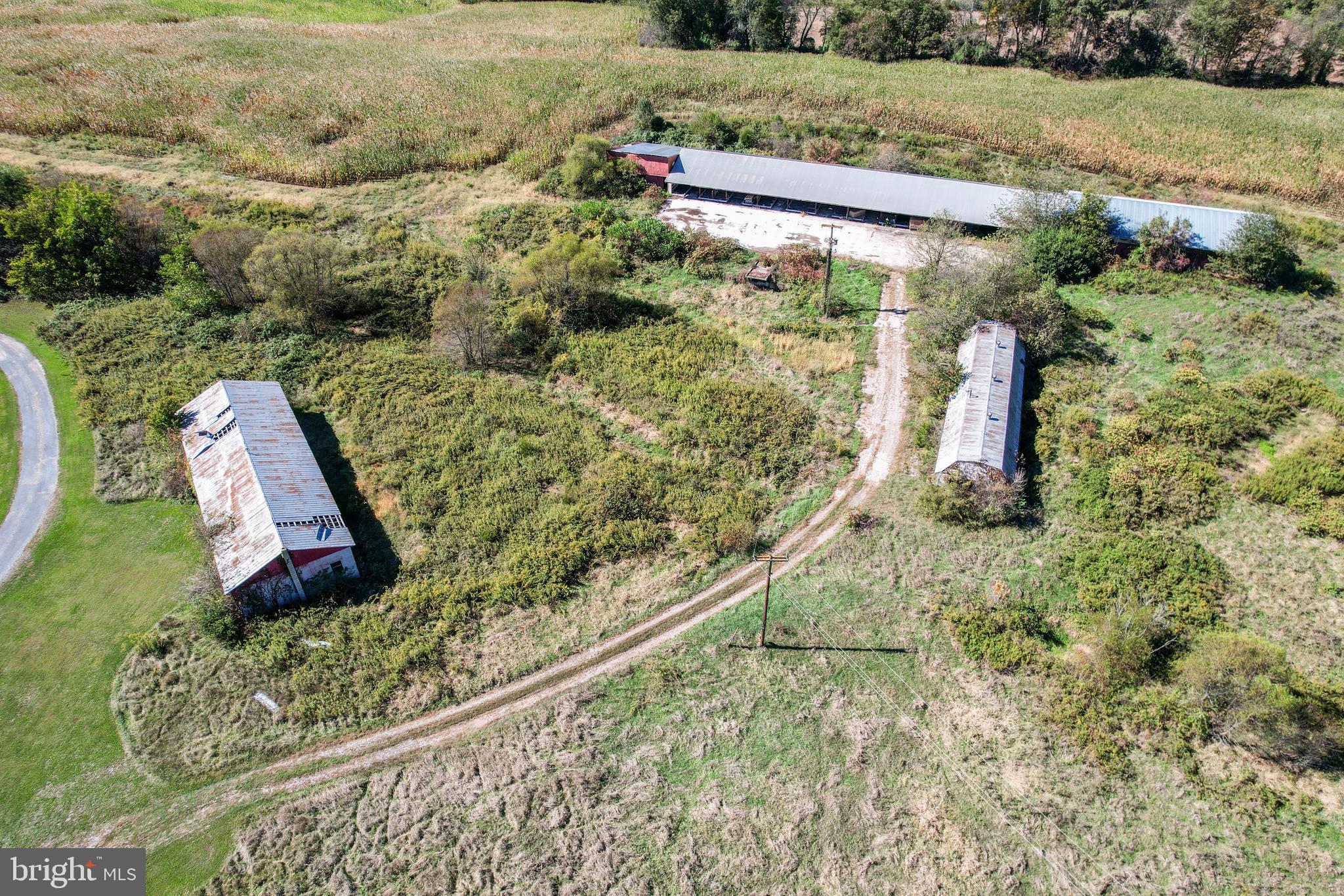 NONE AVAILABLE - Farm