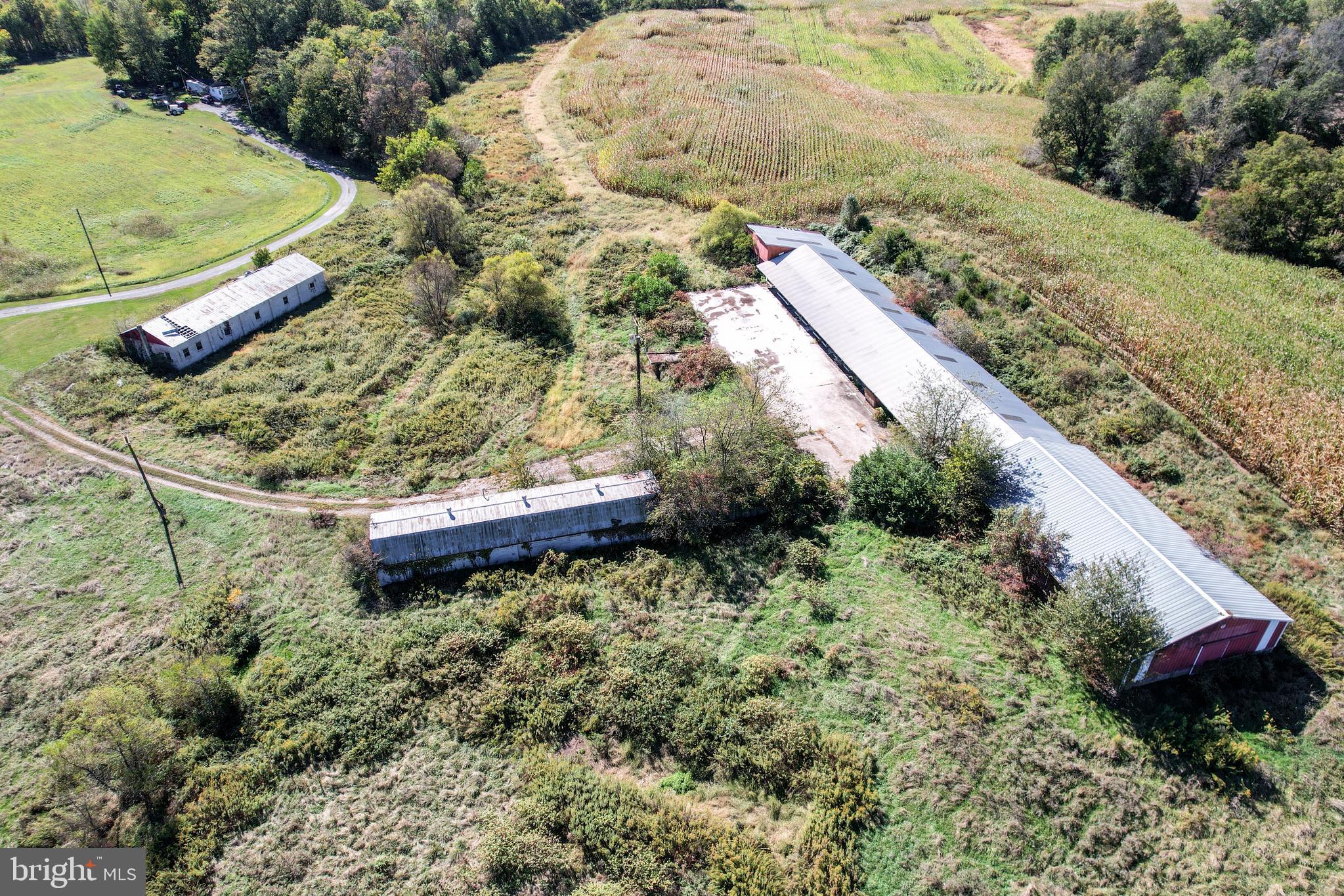 NONE AVAILABLE - Farm