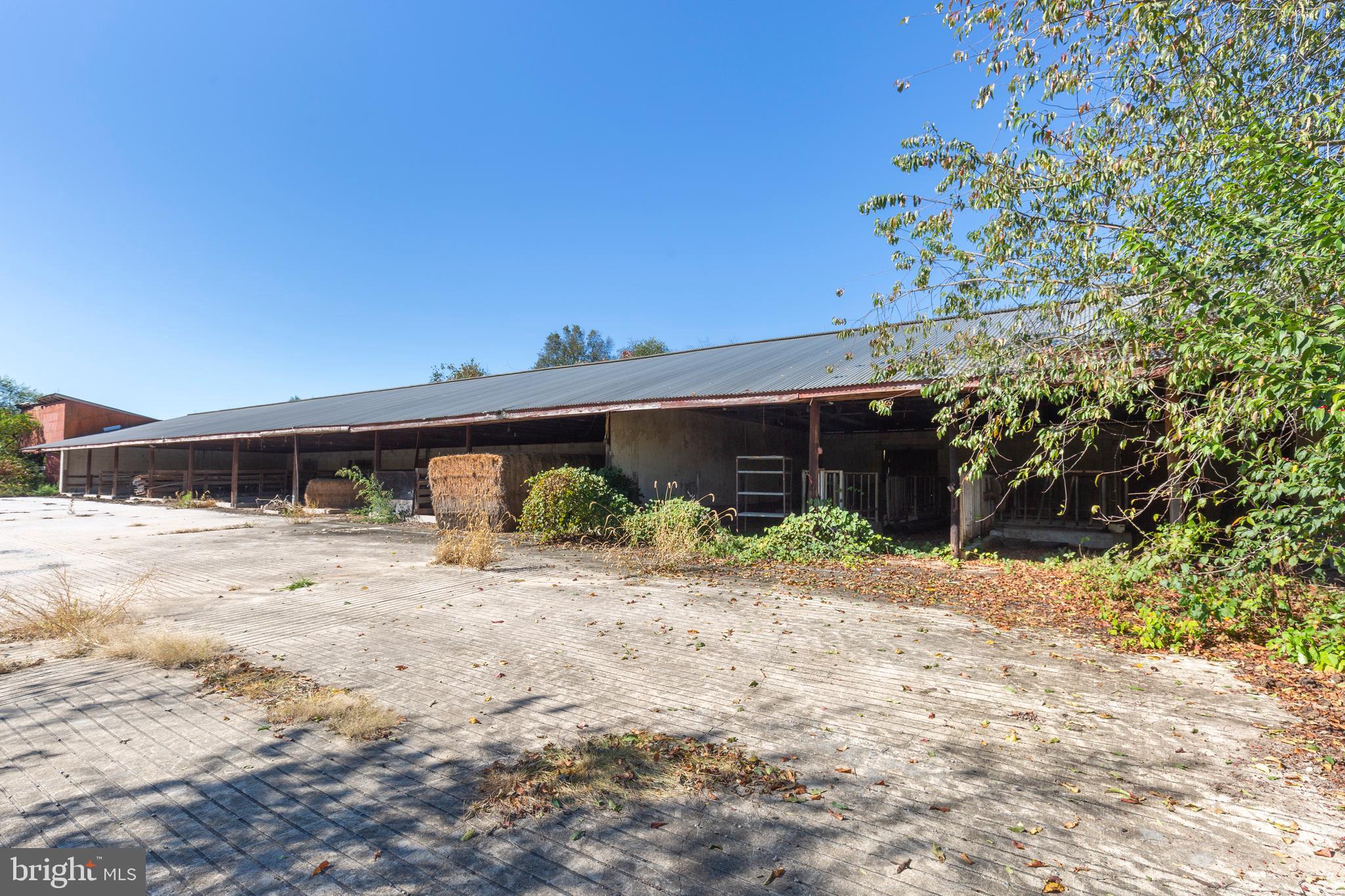 NONE AVAILABLE - Farm