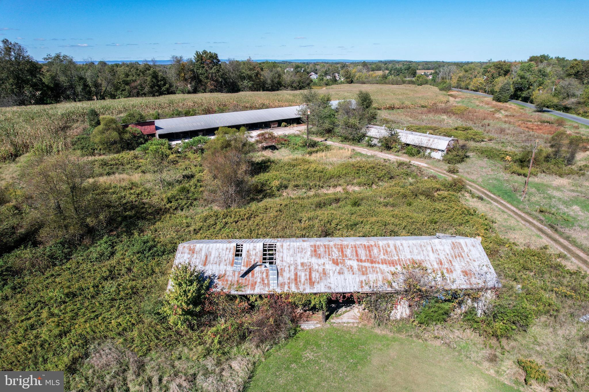 NONE AVAILABLE - Farm