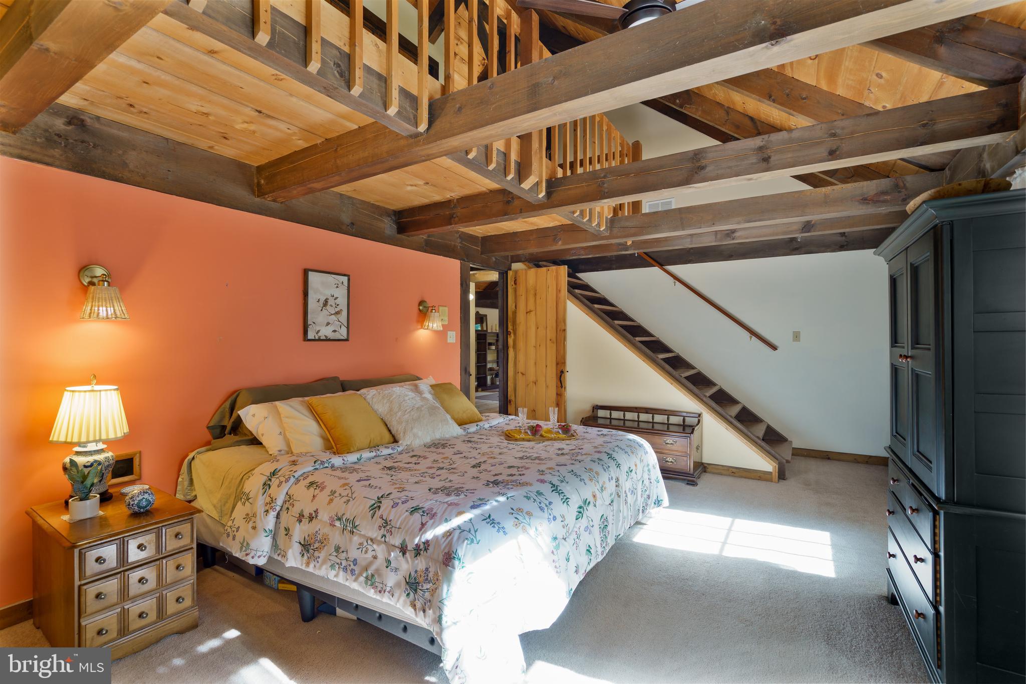 TERRAPIN NECK - Residential