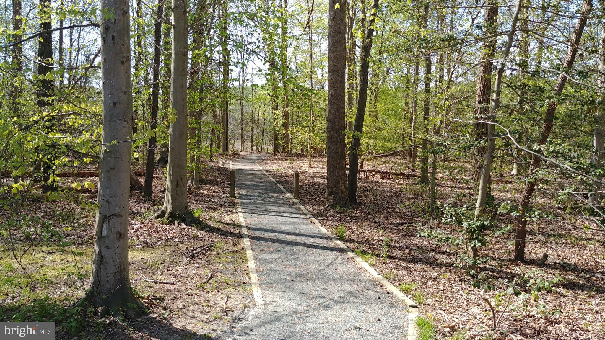 BROOKE RIDGE - Residential