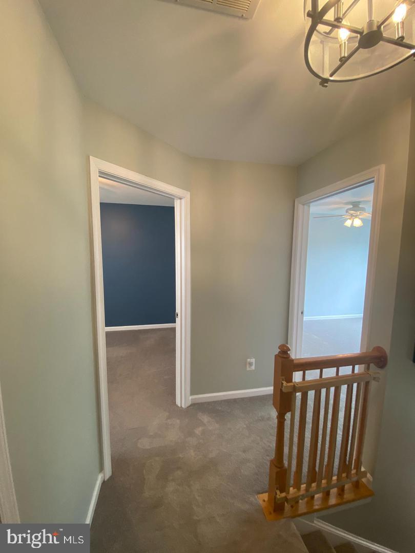 12502 ROYAL CROWN DRIVE