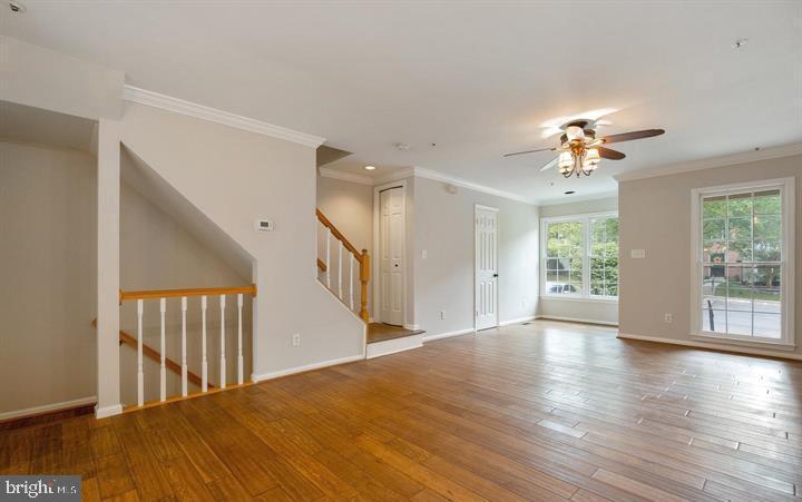 HOLLY POINTE - Residential