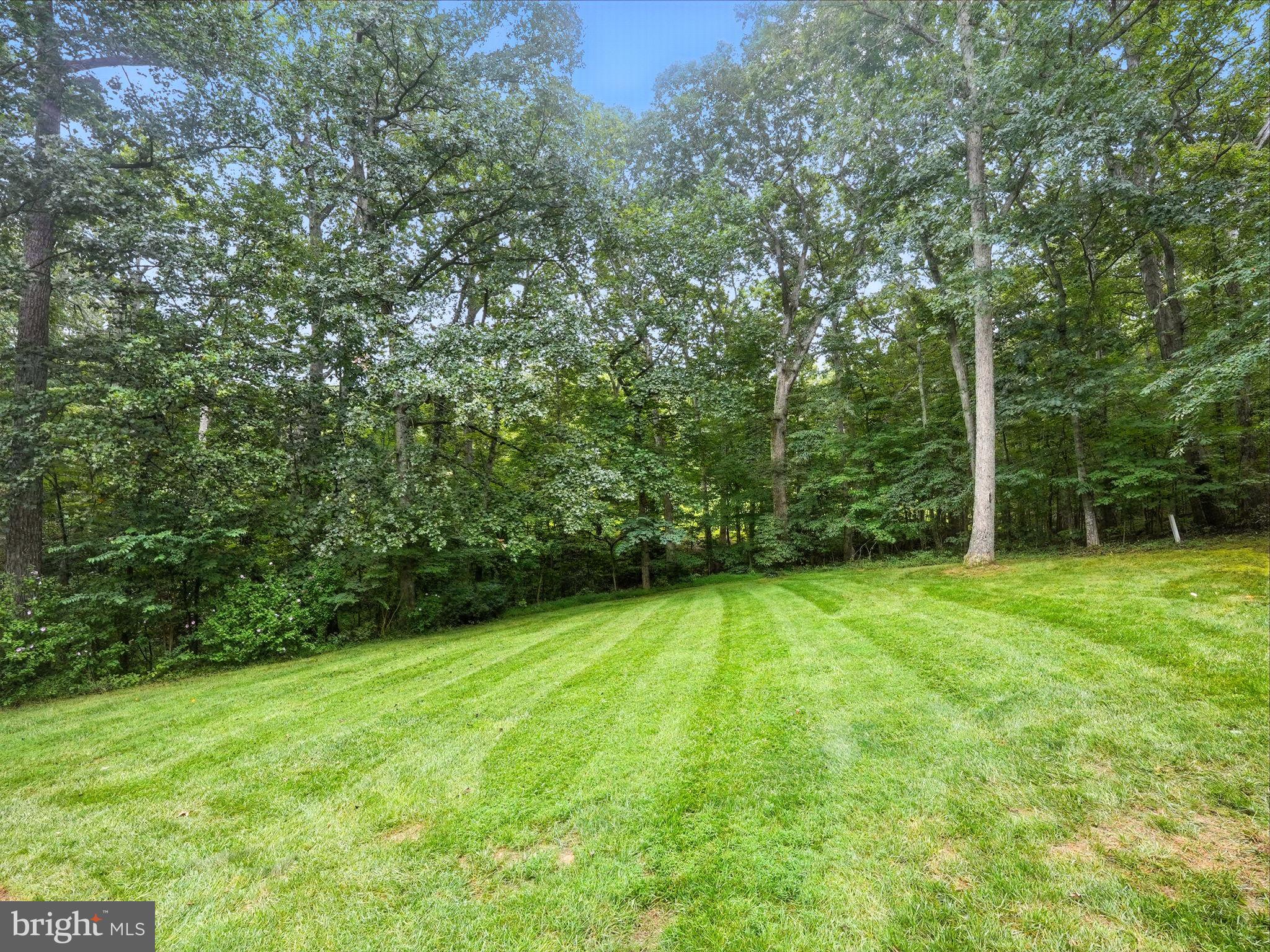 FOX CHASE - Residential