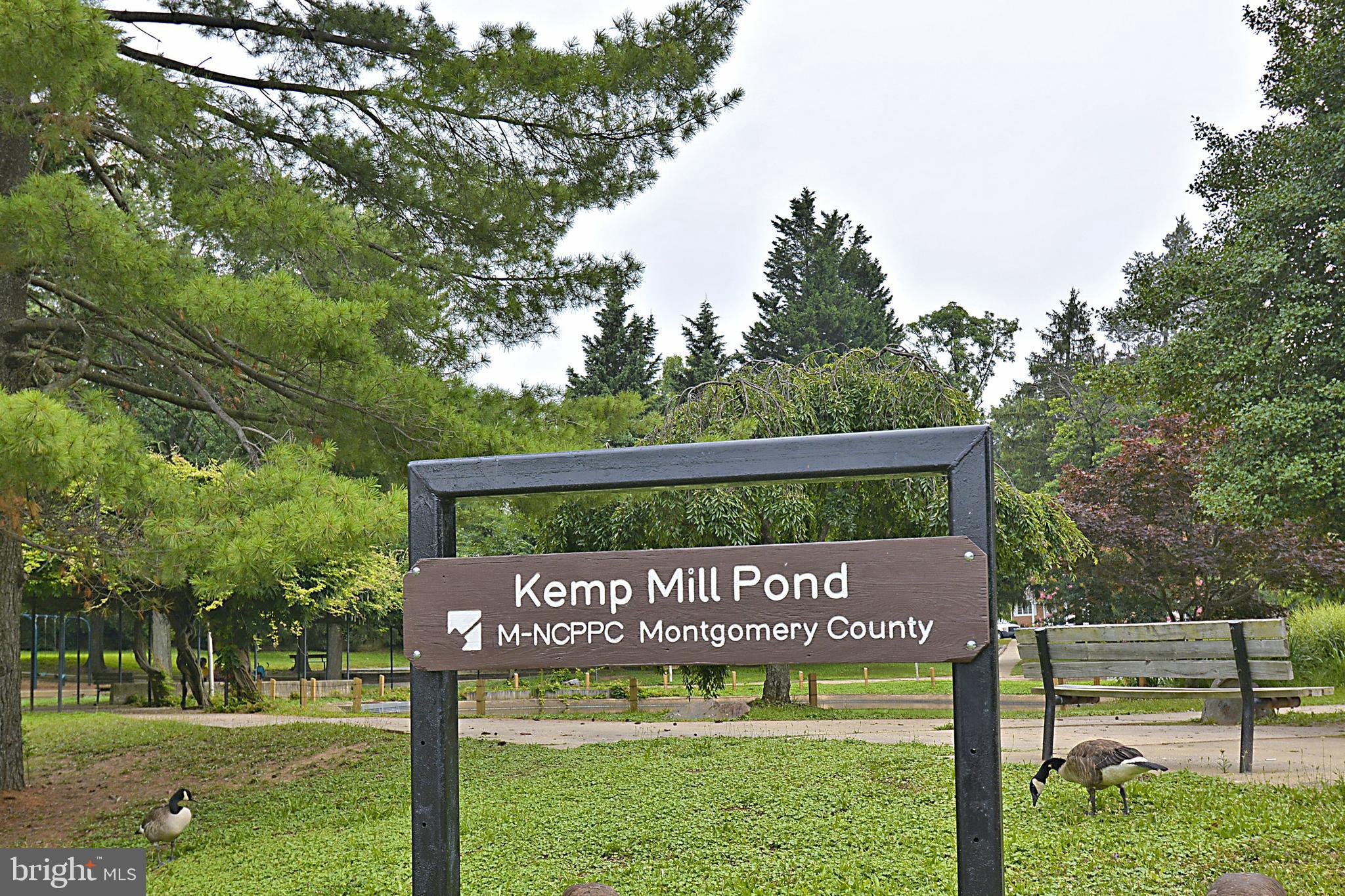 KEMP MILL HILLS - Residential