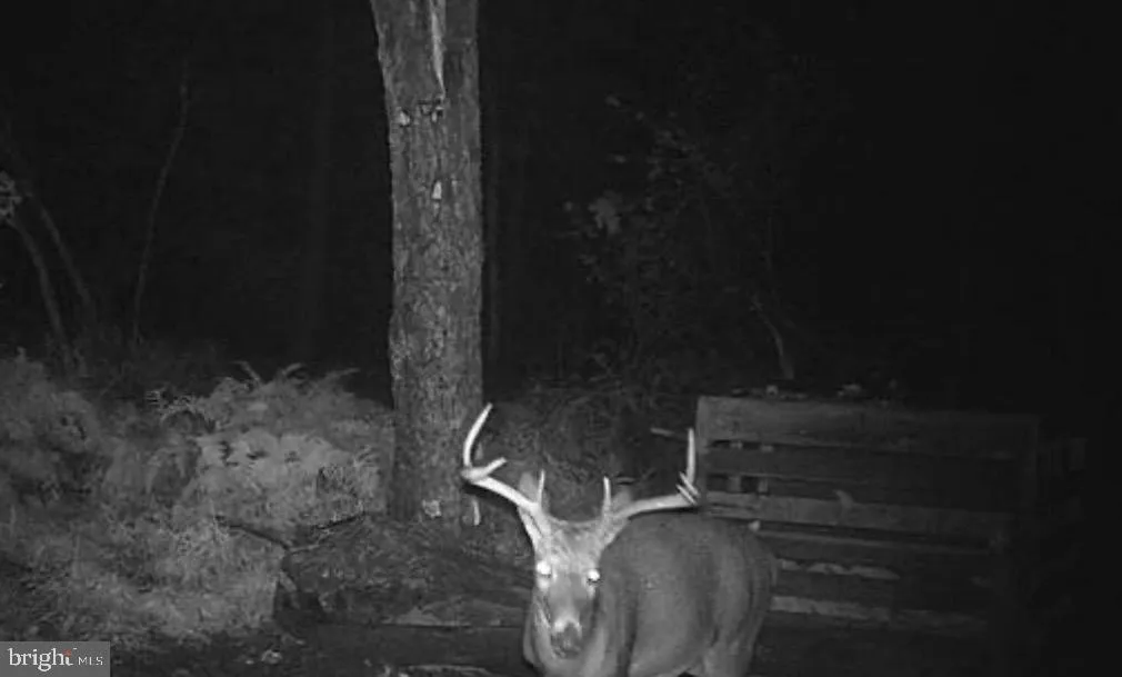 Additional image 102 of 2254 Garrett Road, Oakland, MD 21550