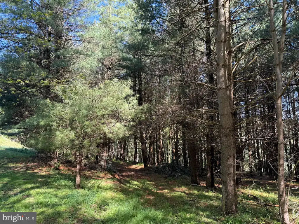 Additional image 49 of 2254 Garrett Road, Oakland, MD 21550